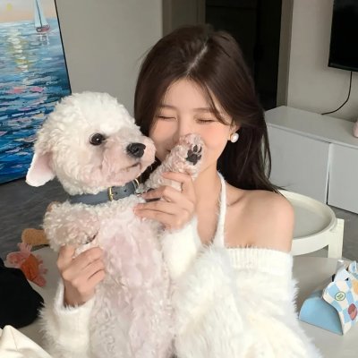 美人镖局