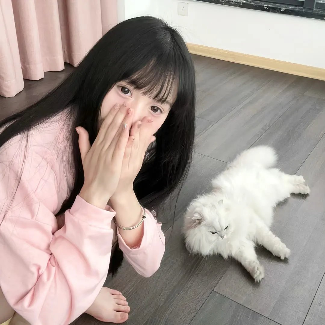 哈文克